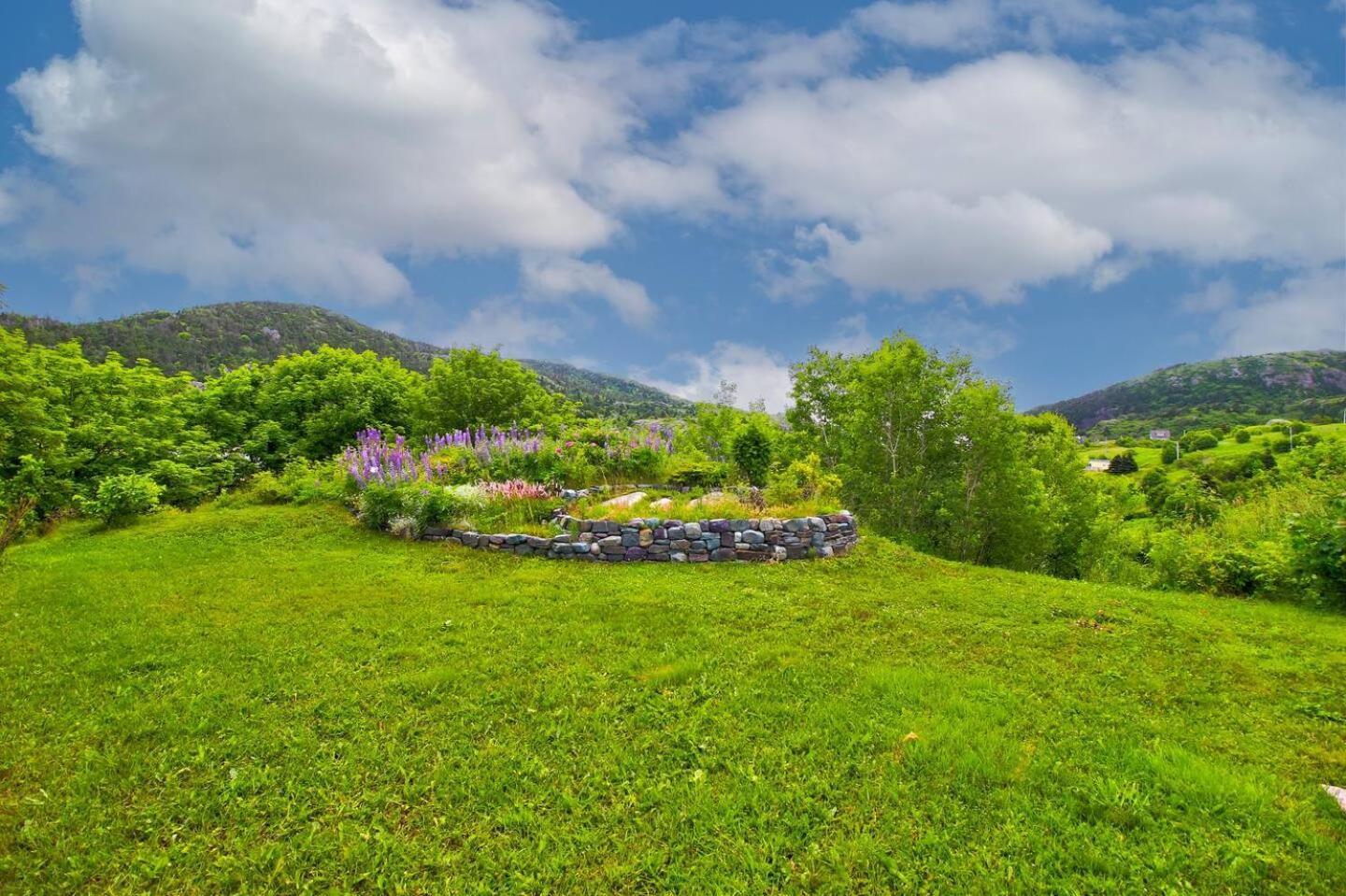 The Vista At Quidi Vidi - Stunning Views & Trails Villa Сент Джонс Екстериор снимка